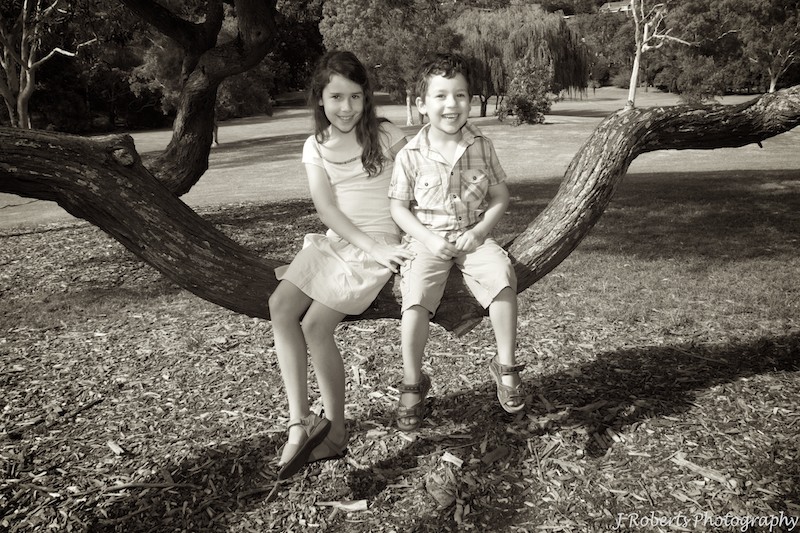 Siblings swinging in tree - family portraits
